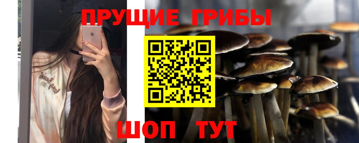 Псилоцибиновые грибы GOLDEN TEACHER Кореновск